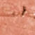 color SPICY-PEACH icono