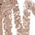 color 01-Pearl Beige icono
