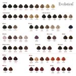 TINT x60 EVOLUTION ALFAPARF 0,2