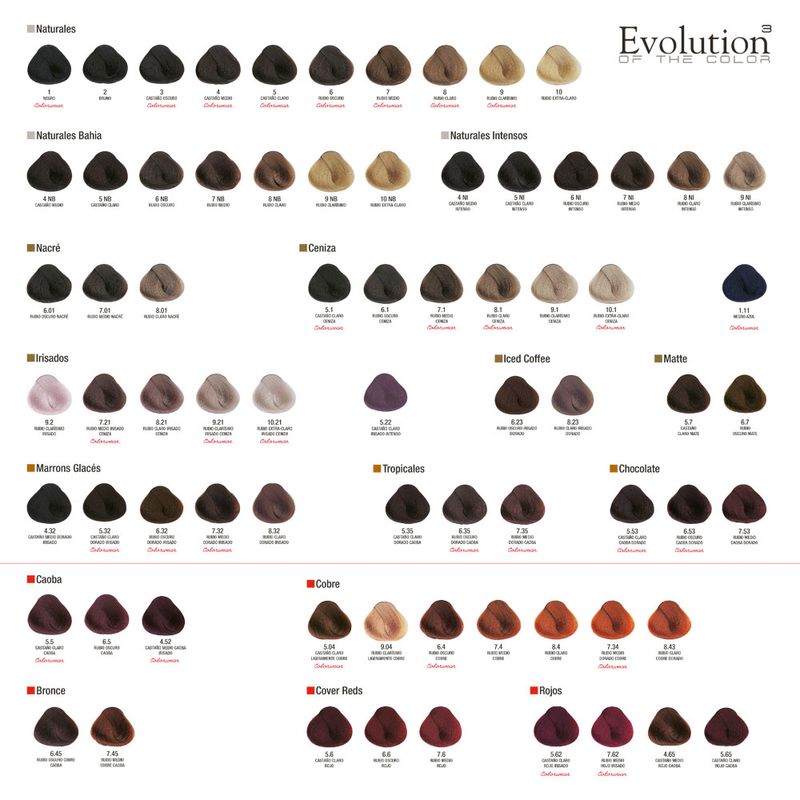 TINT x60 EVOLUTION ALFAPARF 0,2