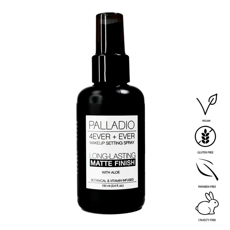 SPRAY X100 4EVER+EVER FINISH PALLADIO Matte Finish