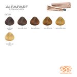 24 Tinturas Evolution Of The Color Cube x60 ml Alfaparf
