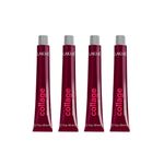 Combo 4 Tinturas Collage Creme Hair Color x60ml Lakmé