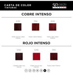 Kit Coloración 6 Tinturas Color x60ml Salon Essentials