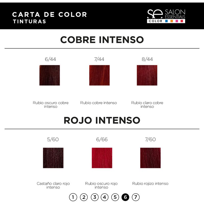 Kit Coloración 6 Tinturas Color x60ml Salon Essentials