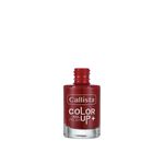12 Esmaltes Tradicionales Color Up Callista