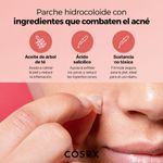 PARCHES X36 Master Intensive COSRX