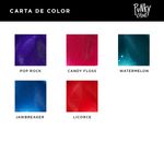 Kit Hidracolor Permanente Primont
