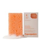 ESPONJABON X120 T,TAiO Mother of Pearl
