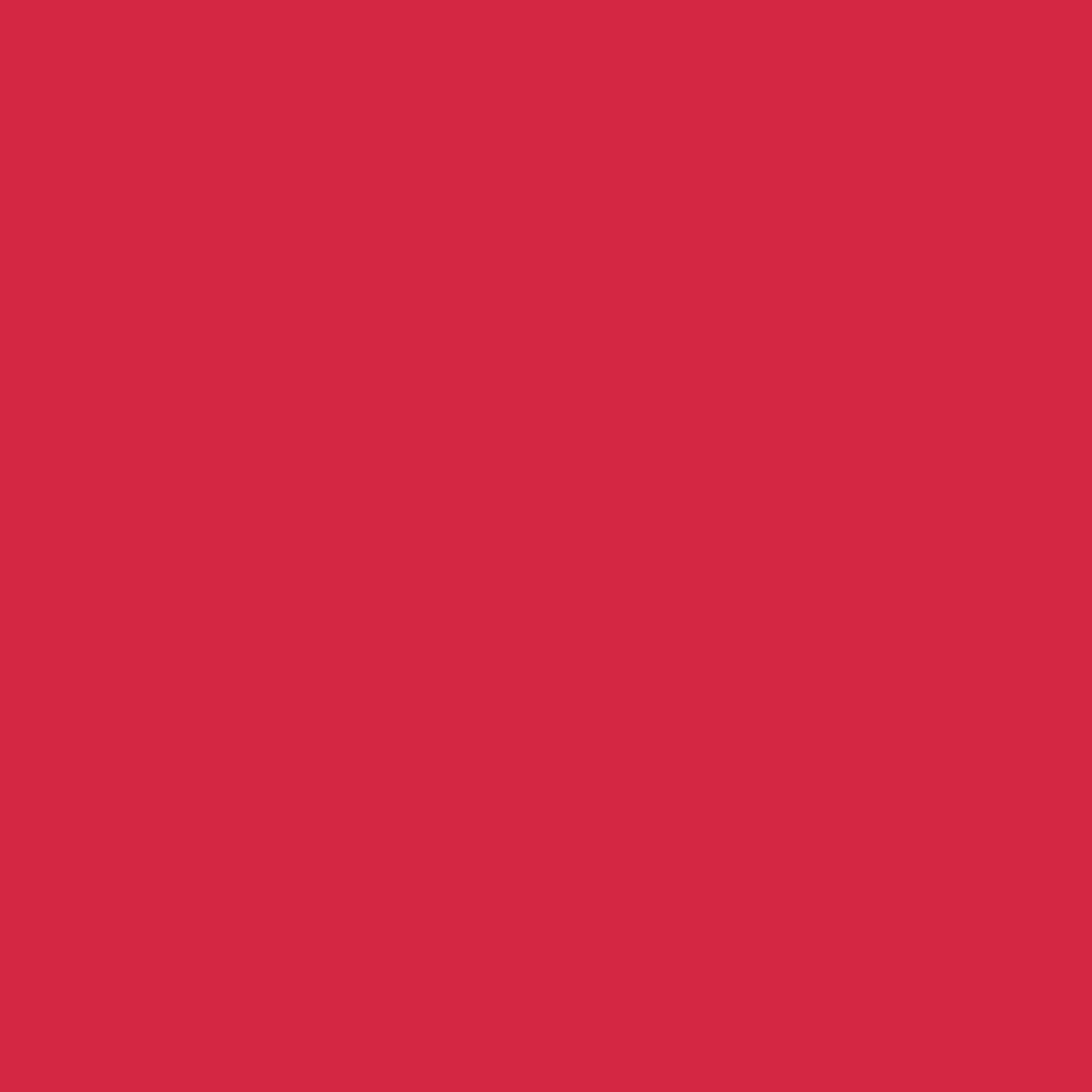 color 06 icono