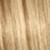 color L-44 icono