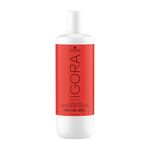 LOC AC X1000 IGORA ROYAL 10V 3%