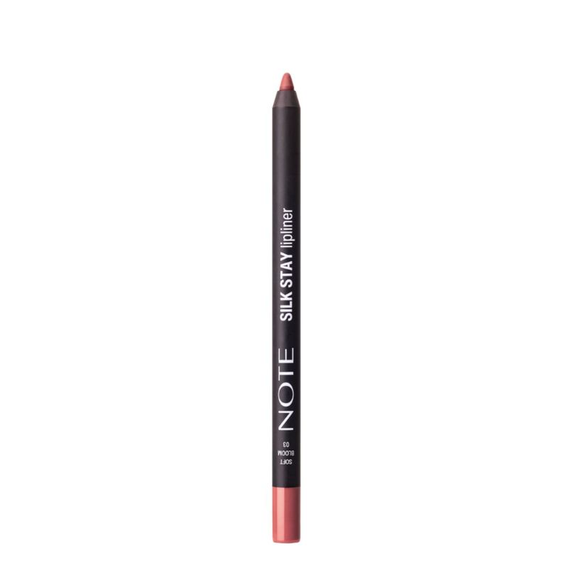 DEL LABIAL SILK STAY NOTE 01