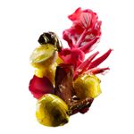 COFRE DUO glass shine VIT COLOR SPECTRUM EXPERT