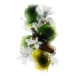 COFRE DUO antibreak METAL DETOX EXPERT